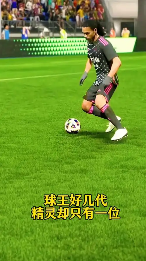 南非国内种