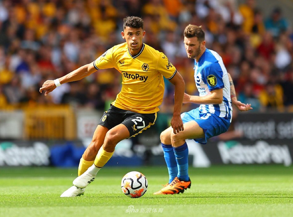 合作关系 合作关系